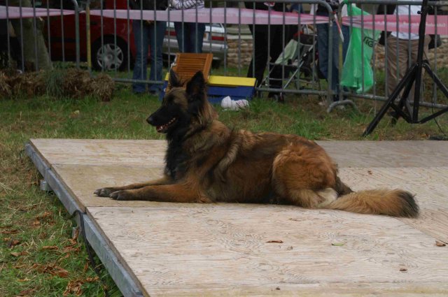 foire-haricots 2011-09-17et18